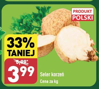 SELER KORZEŃ POLSKA