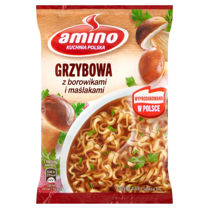 ZUPA GRZYBOWA Z BOROWIKAMI I MAŚLAKAMI