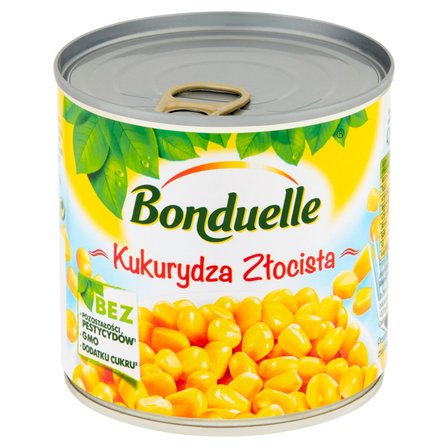 KUKURYDZA ZŁOCISTA