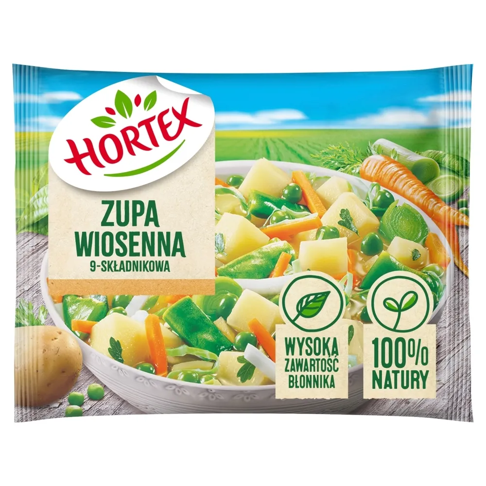 ZUPA WIOSENNA 9-SKŁADNIKOWA