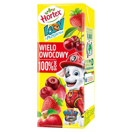 SOK 100 % WIELOOWOCOWY